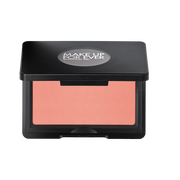 artist face powder   blush