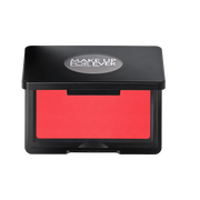 artist face powder   blush