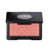 artist face powder   blush