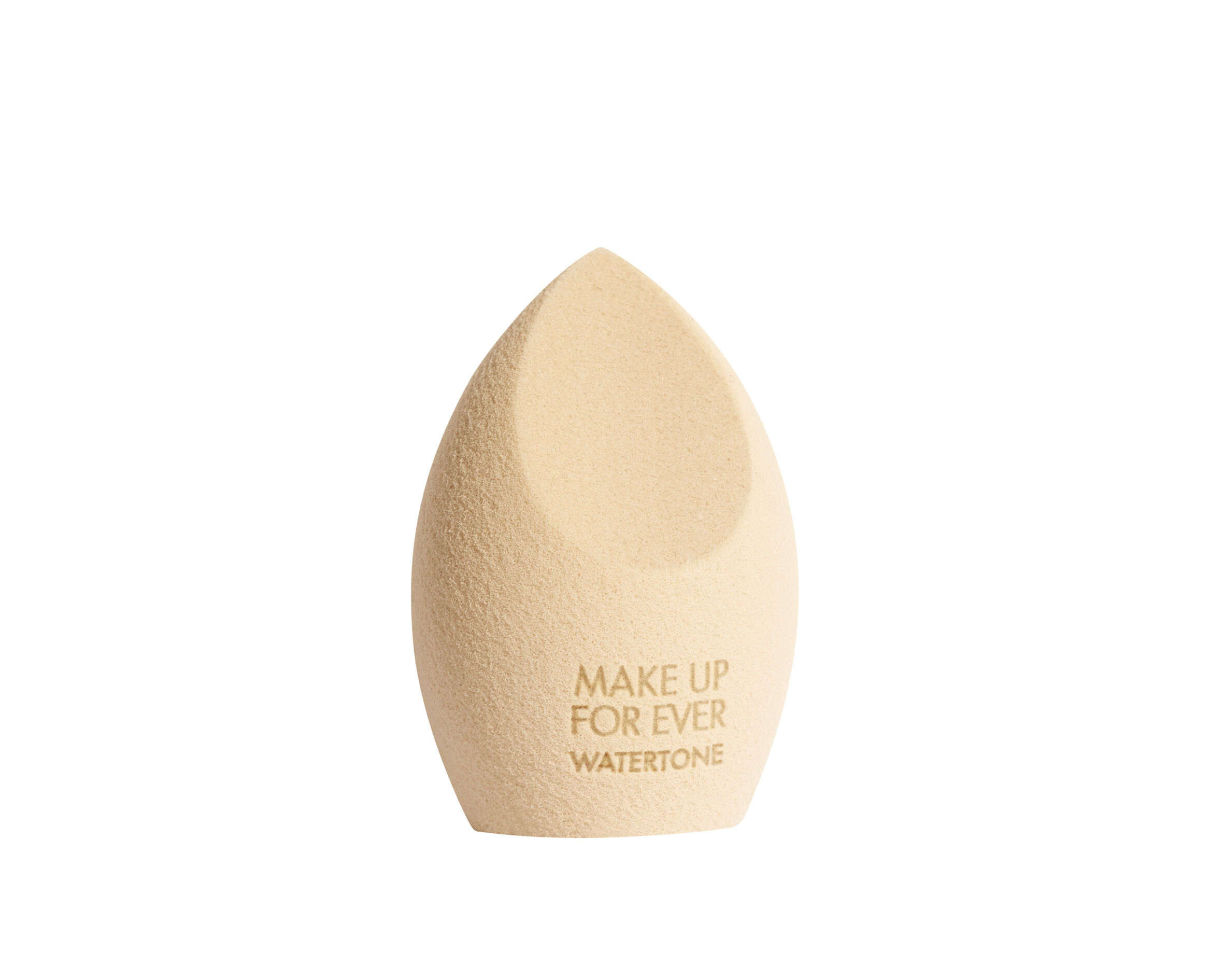 اسفنجة  وترتون